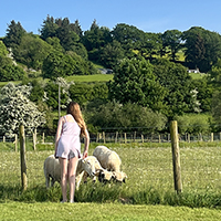 person yn edrych ar ddefaid